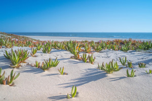 下一站巴黎！奥运明星选手的未来版图大猜想